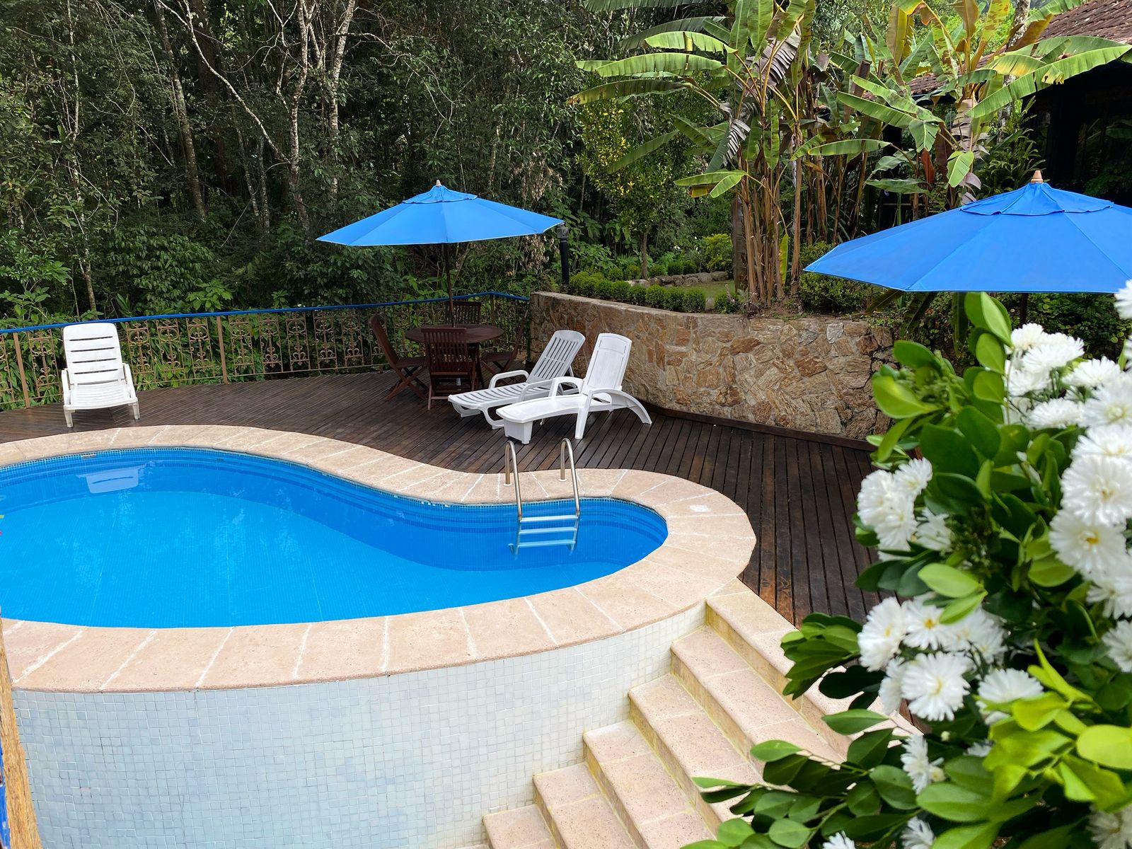 fotos da área da piscina